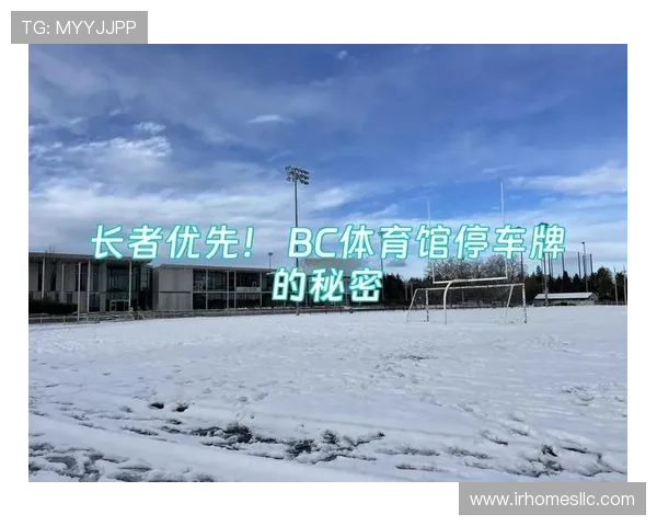 利用BC体育app进行体育竞猜的策略与技巧帮助用户提高中奖几率与收益 利用BC体育app进行体育竞猜的策略与技巧帮助用户提高中奖几率与收益