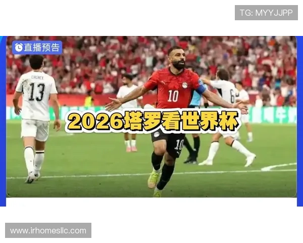 世界杯埃及VS伊朗比赛期间的潜在风险因素及应对措施全方位分析 世界杯埃及VS伊朗比赛期间的潜在风险因素及应对措施全方位分析